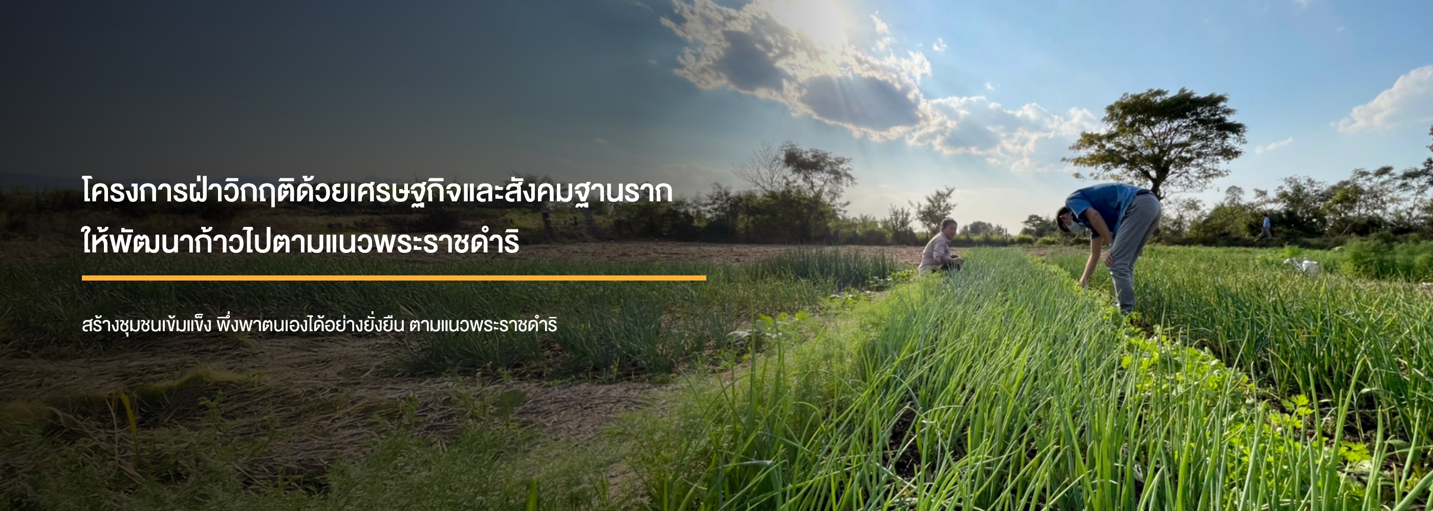 โครงการฝ่าวิกฤติด้วยเศรษฐกิจและสังคมฐานรากให้พัฒนาก้าวไปตามแนวพระราชดำริ