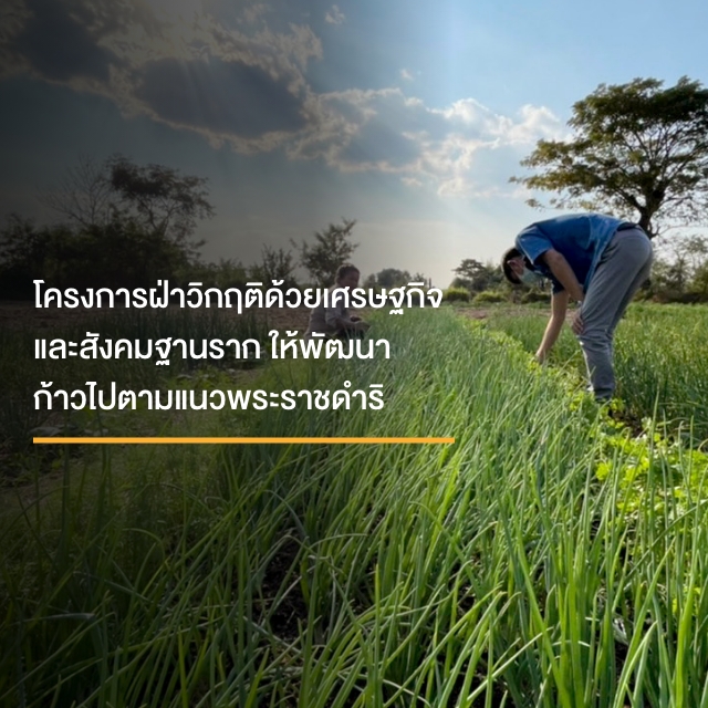 โครงการฝ่าวิกฤติด้วยเศรษฐกิจและสังคมฐานรากให้พัฒนาก้าวไปตามแนวพระราชดำริ